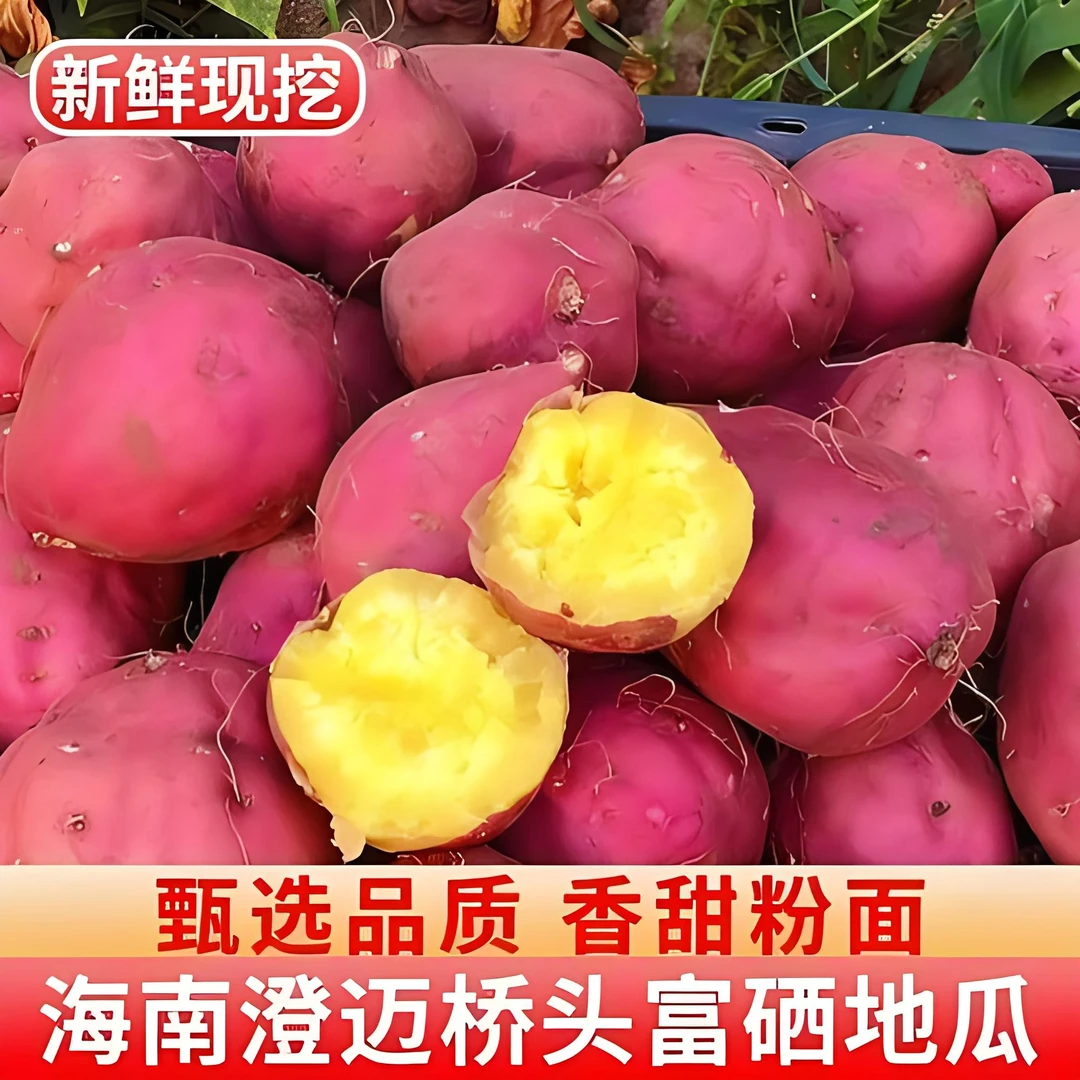 海南桥头地瓜自家种植原产地当季现挖新鲜板栗红薯小圆果健康香甜