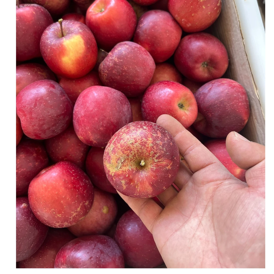 云南生态糖心苹果，赠一份橙子