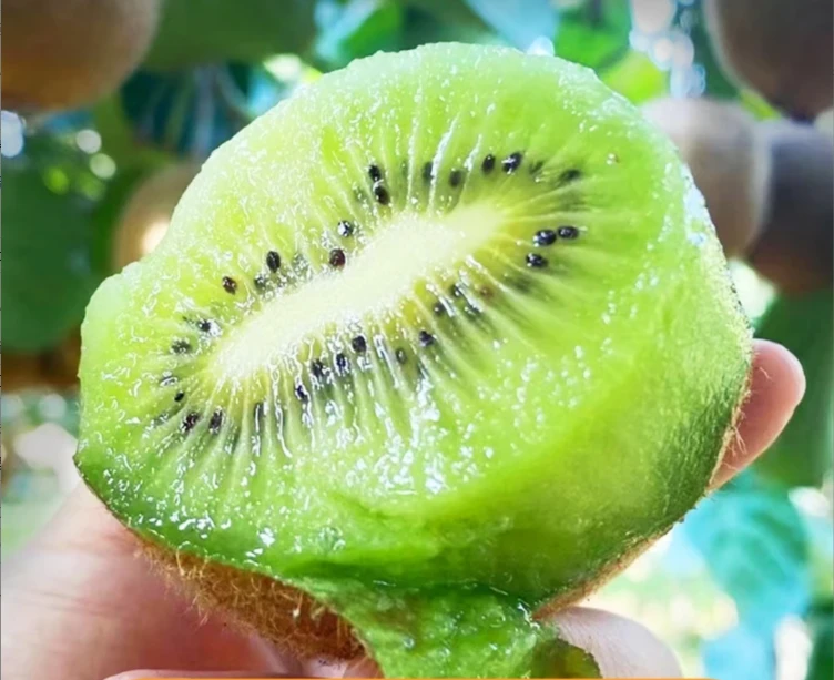 山水碧玉猕猴桃新鲜奇异果5斤包邮水果孕妇水果营养优质国产放软