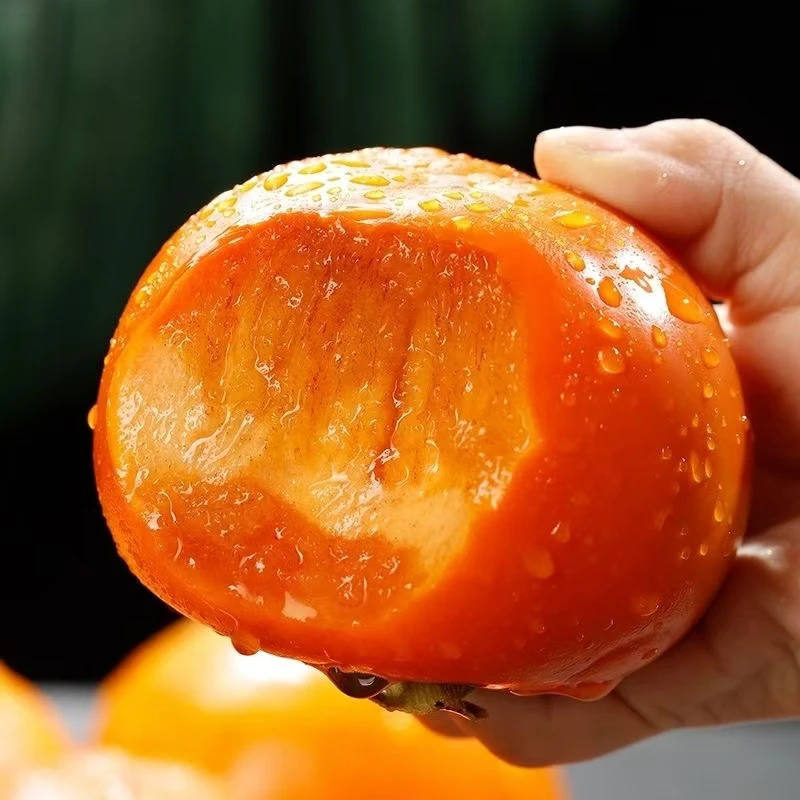 【香甜脆甜】恭城甜脆柿 新鲜水果冰糖心巧克力脆柿 硬柿子真空包装