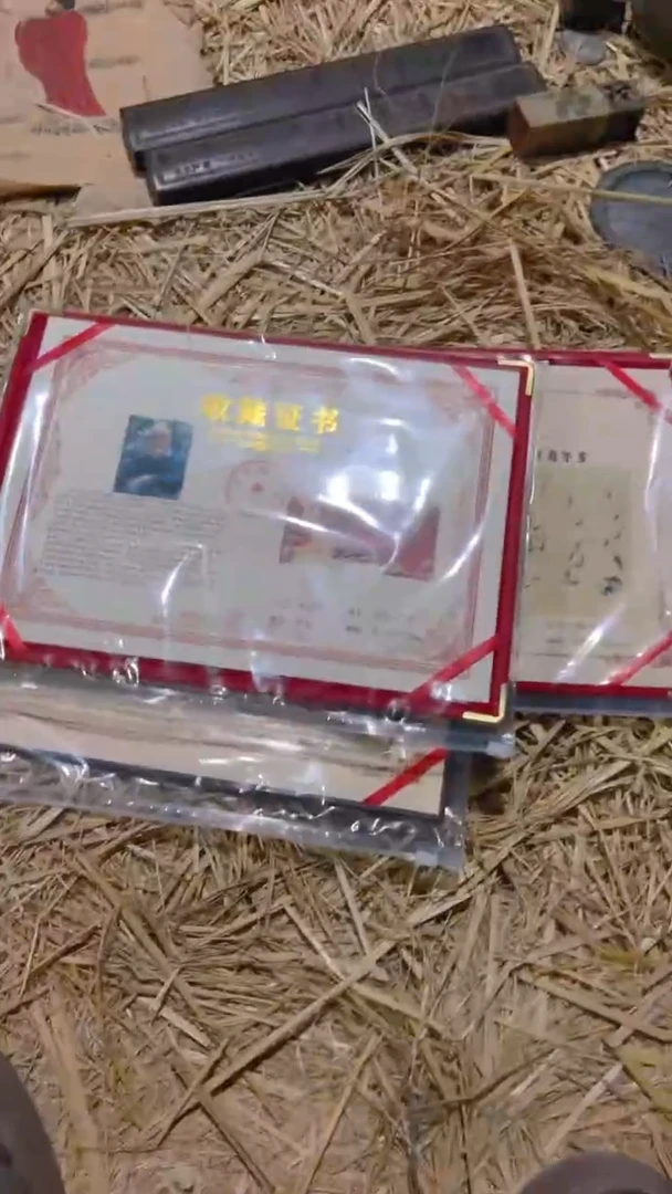 【闪购商品】书法万山红遍画心