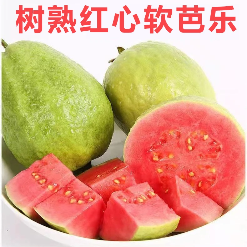 红心脆芭乐3/5斤香甜红心番石榴现摘新鲜鲜甜口感放软吃夏日美食
