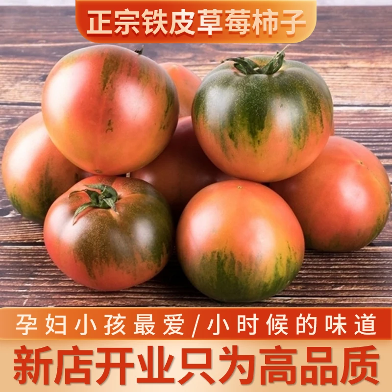 [坏果包赔]铁皮柿子草莓柿子盐碱地柿子鹰爪番茄三斤五斤包邮