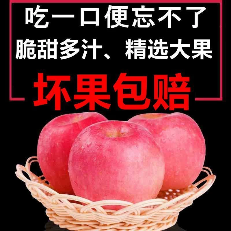 PG陕西高山红富士苹果水果1-9斤脆甜多汁孕妇水果新鲜脆甜多汁包