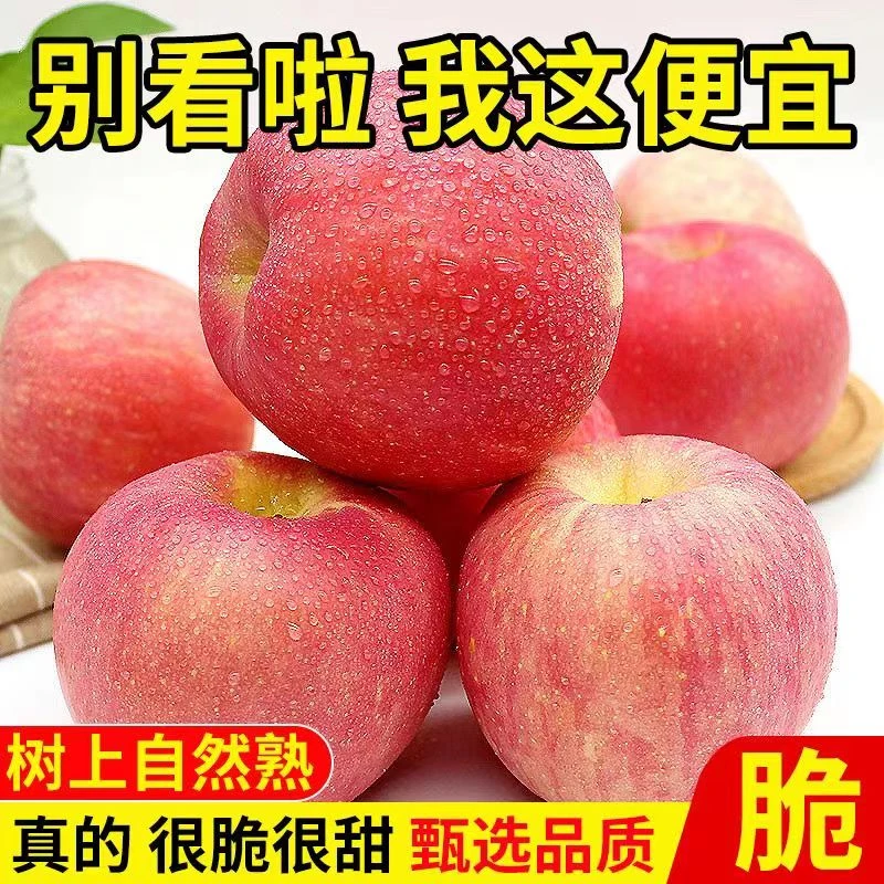 【山西红富士】黄土高坡苹果新鲜采摘净重1斤装红富士冰糖心苹果