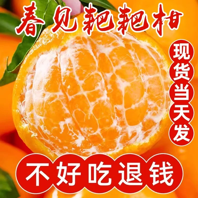 四川正宗耙耙柑现摘现发新鲜橘子当季水果薄皮1-8斤丑橘粑粑柑