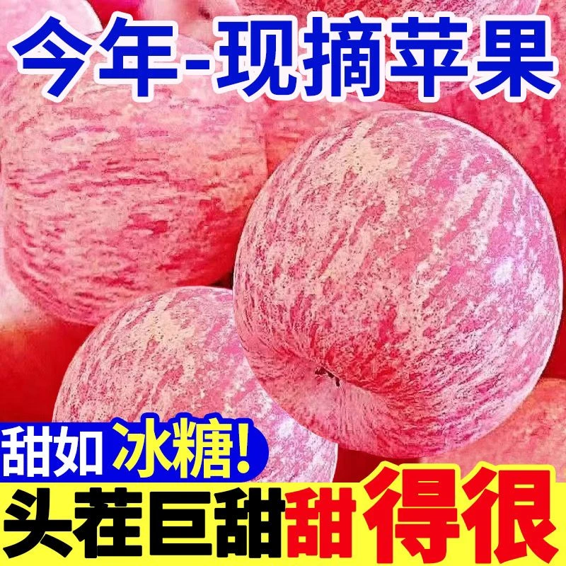 PG【2023新果】陕西红富士苹果当季新鲜冰糖心苹果1-9斤孕妇水果批
