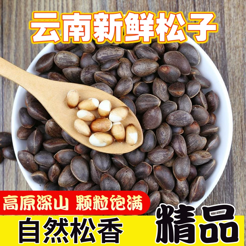 云南新鲜松子带壳原味松子云南特产新货大颗粒薄壳散装批发坚果