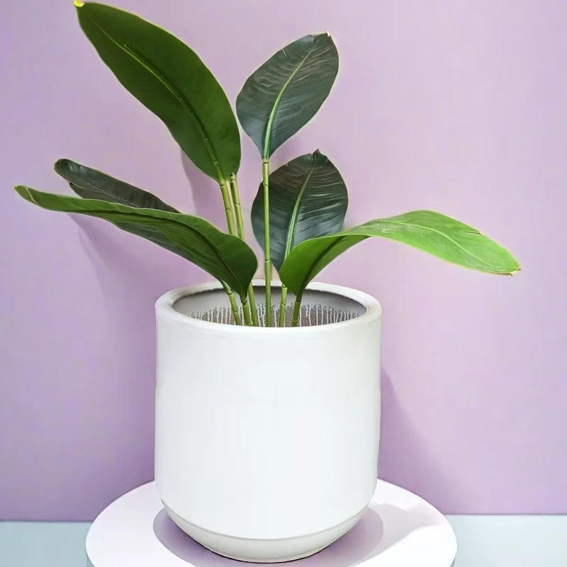 水滴花盆轻奢简约百搭款龙血树百合竹千年木水滴陶瓷花盆大花盆