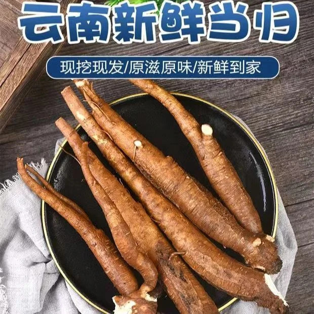 云南新鲜甜当归西归芹根整根散装独角归5斤包邮新鲜现挖煲汤药材