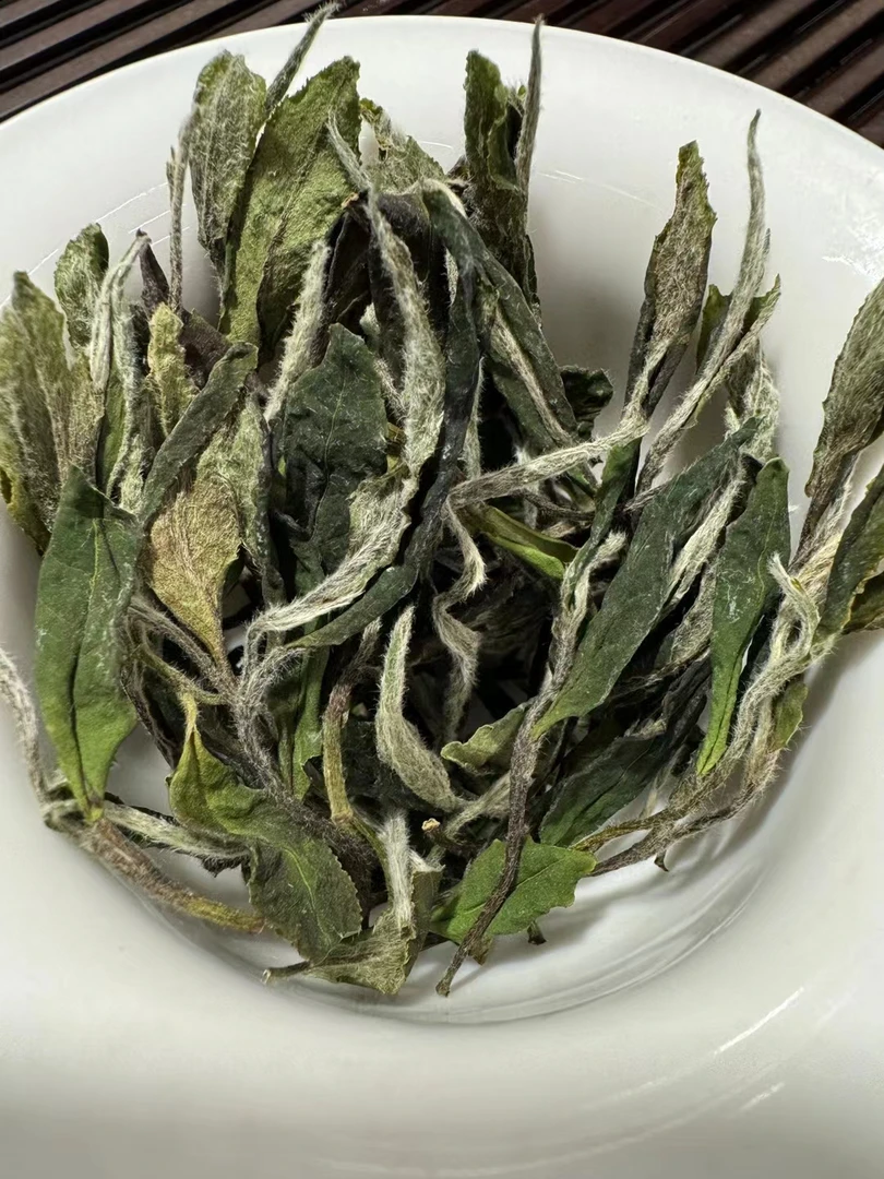 2025年云中管阳春寿眉