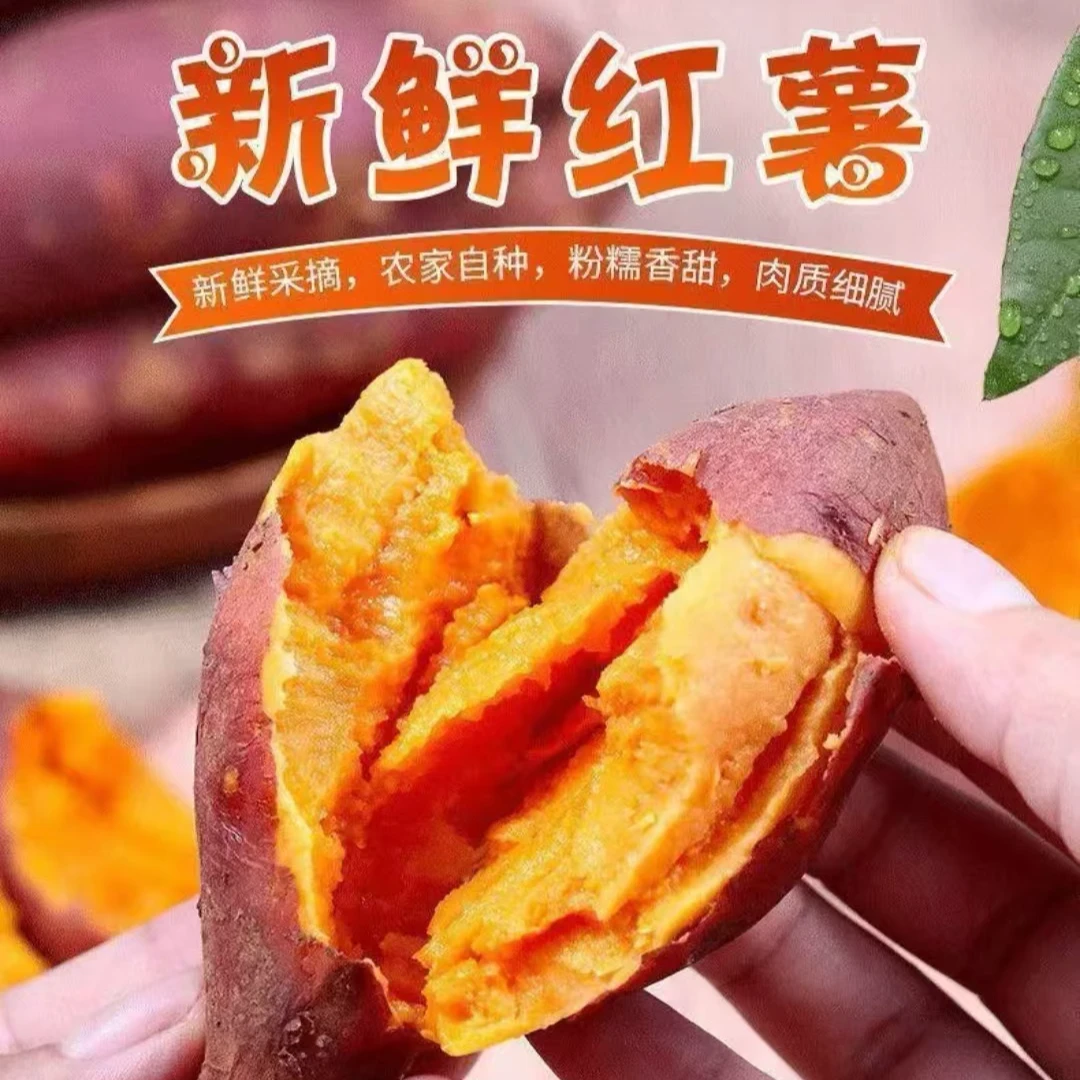 【沙地蜜薯  西瓜红蜜薯】熬汤 蒸煮新鲜当季现挖蜜薯香甜美味红薯