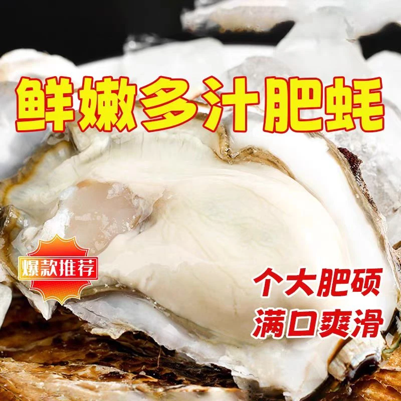 6+生蚝1只【鲜活发出】可免费清洗清蒸蒜蓉烧烤