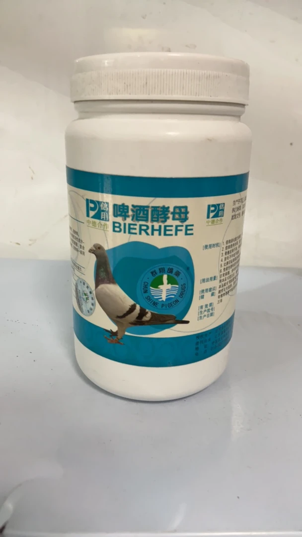 鸽用啤酒酵母 种鸽鸽子