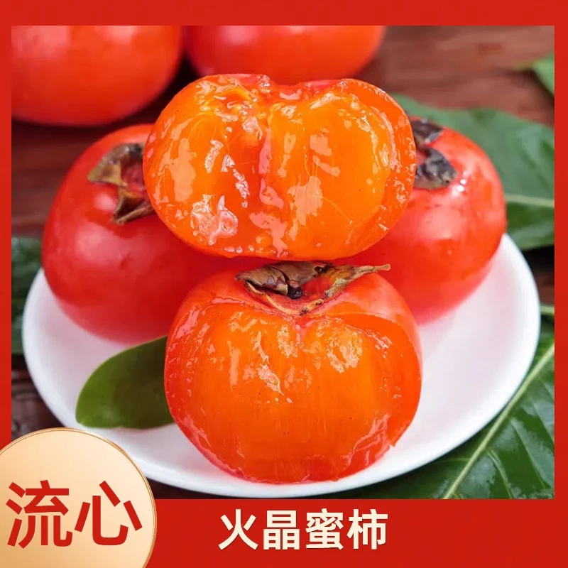 游小艺正宗流心火晶蜜柿 新鲜柿子 香甜软糯 皮薄多汁 产地直发