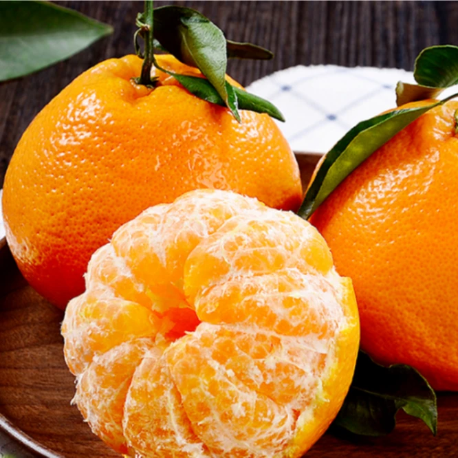 春见耙耙柑果肉细腻化渣 下单1小时左右送达