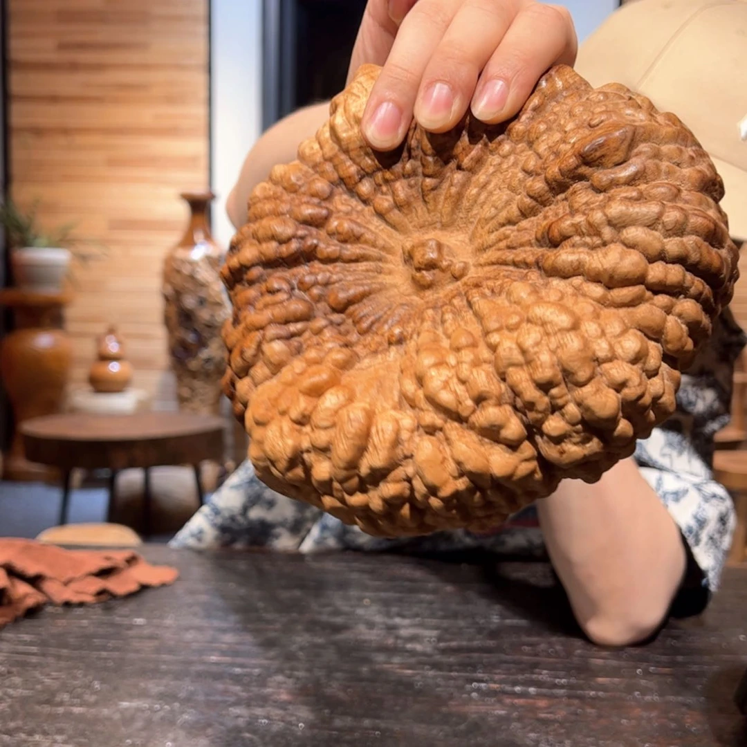 【闪购商品】樟木