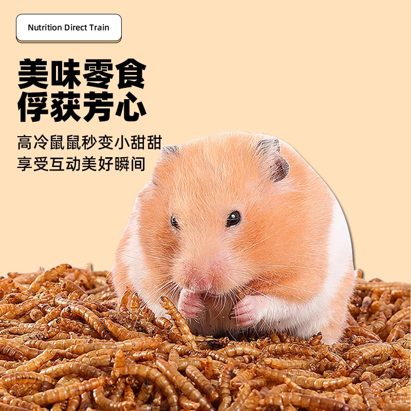 仓鼠金丝熊面包虫干美味营养丰富适口性好小零食饲料齐全零食
