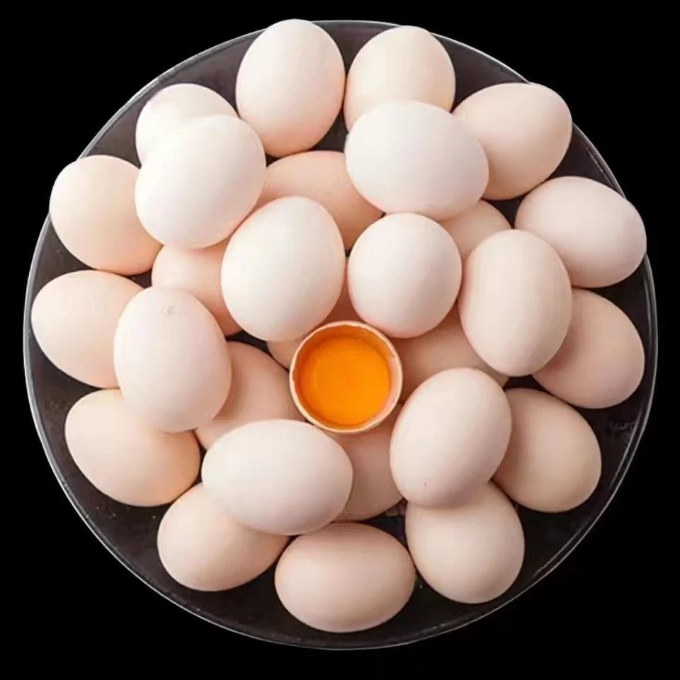 鸡蛋 500g