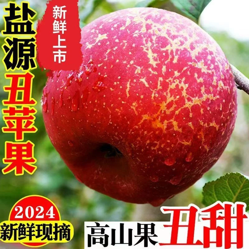 四川大凉山盐源冰糖心丑苹果高山种植新鲜苹果脆甜水果原产地直发