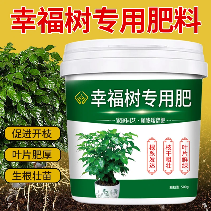【幸福树专用花肥】治黄叶枝繁叶茂活化土壤促生根营养颗粒缓释肥