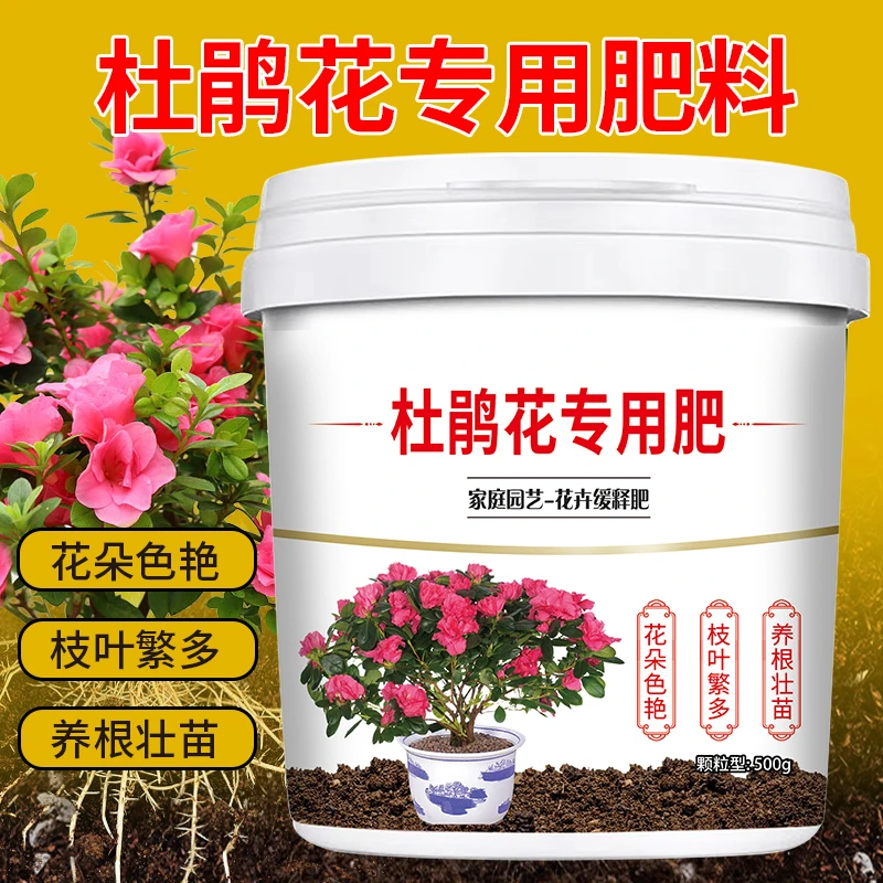 【杜鹃花专用肥料】养根壮苗花朵色艳枝叶繁多治黄叶烂根缓释颗粒肥