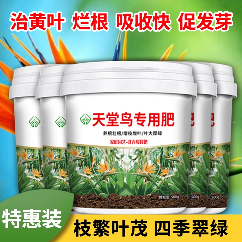 天堂鸟专用缓释肥家用盆栽防治黄叶卷边开裂通用型控释颗粒有机肥