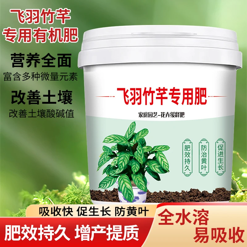 飞羽竹芋专用肥防黄叶焦叶枯萎卷边壮根系缓释颗粒营养植物有机肥