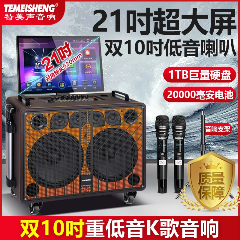 特美声TMS10广场舞音响带显示屏户外移动露营K歌音箱一体机旗舰