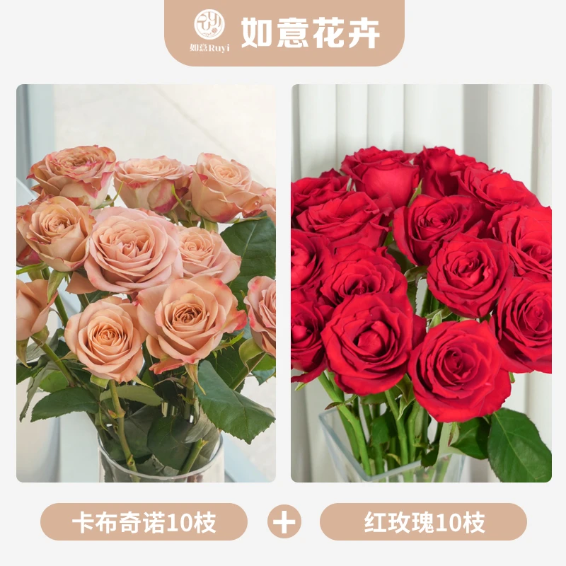 【卡布奇诺+红玫瑰】枝长50-55cm 无土栽培现采现发 山东基地直发
