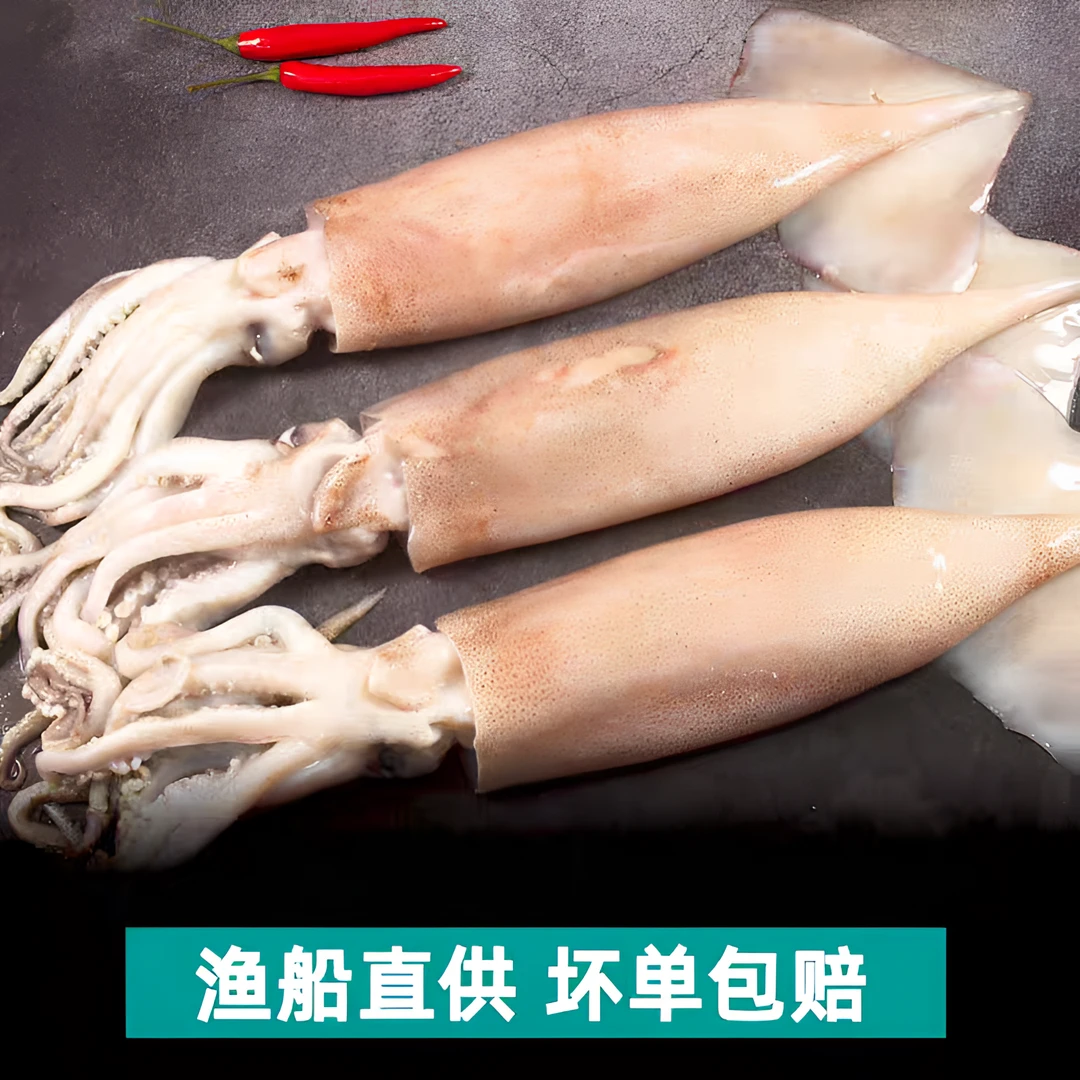 山东威海鲜活速冻鱿鱼船冻锁鲜 海捕鲜活速冻新鲜大鱿鱼顺丰发货
