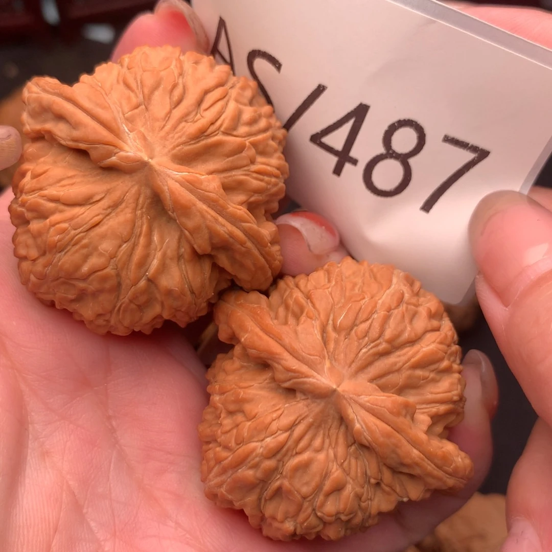 文玩核桃把件白狮子45