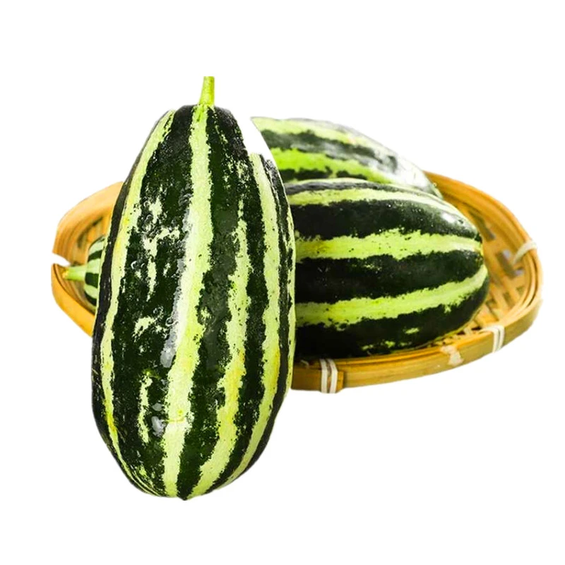江山仙果正宗博洋9号甜瓜新鲜水果应季现摘脆瓜时令生鲜 香瓜蜜瓜