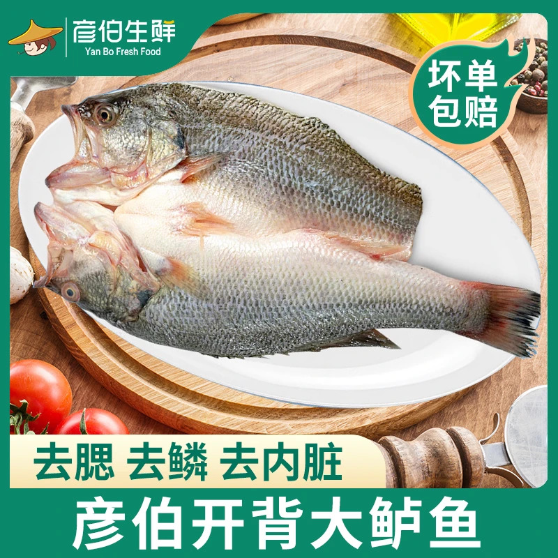 彦伯开背鲈鱼300-400g/条*5 烹饪食材鲜美鲜嫩去鳞