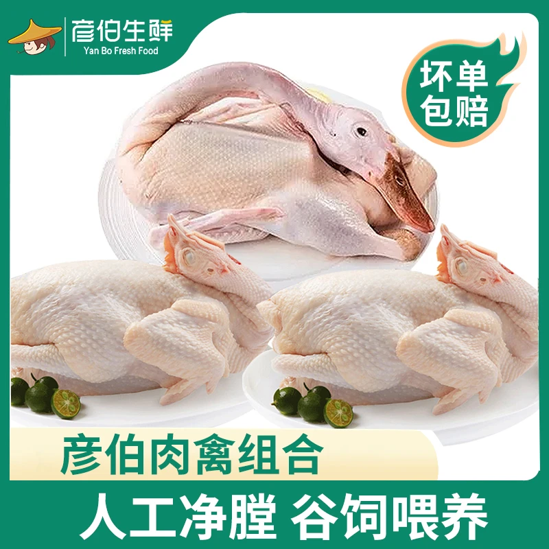 【彦伯】肉禽组合嫩仔鹅4-5斤+走地鸡700g*2