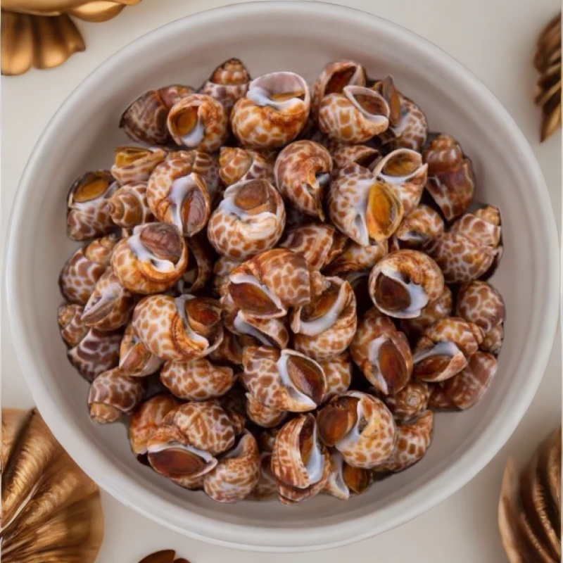 连云港 新鲜速冻大个花螺 2斤起 新鲜速冻贝类海鲜顺丰快递发货