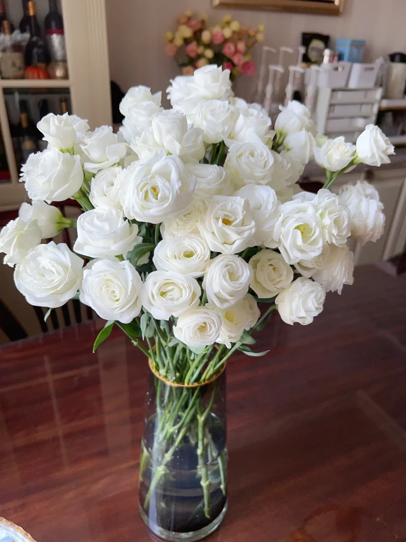 【白色洋桔梗】玫瑰鲜花|云南鲜花基地直发