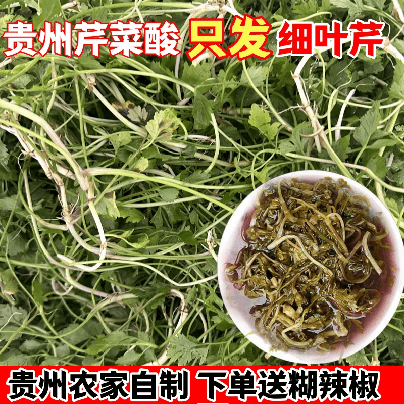 贵州农家特产食用酸野芹菜新鲜芹菜酸菜汤口味野外生长野山芹植物