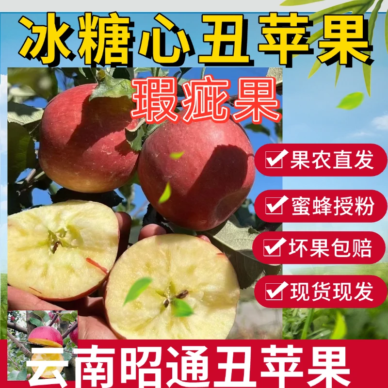 （瑕疵果，无售后）昭通红富士冰糖心丑苹果新鲜采摘当季丑苹果直发