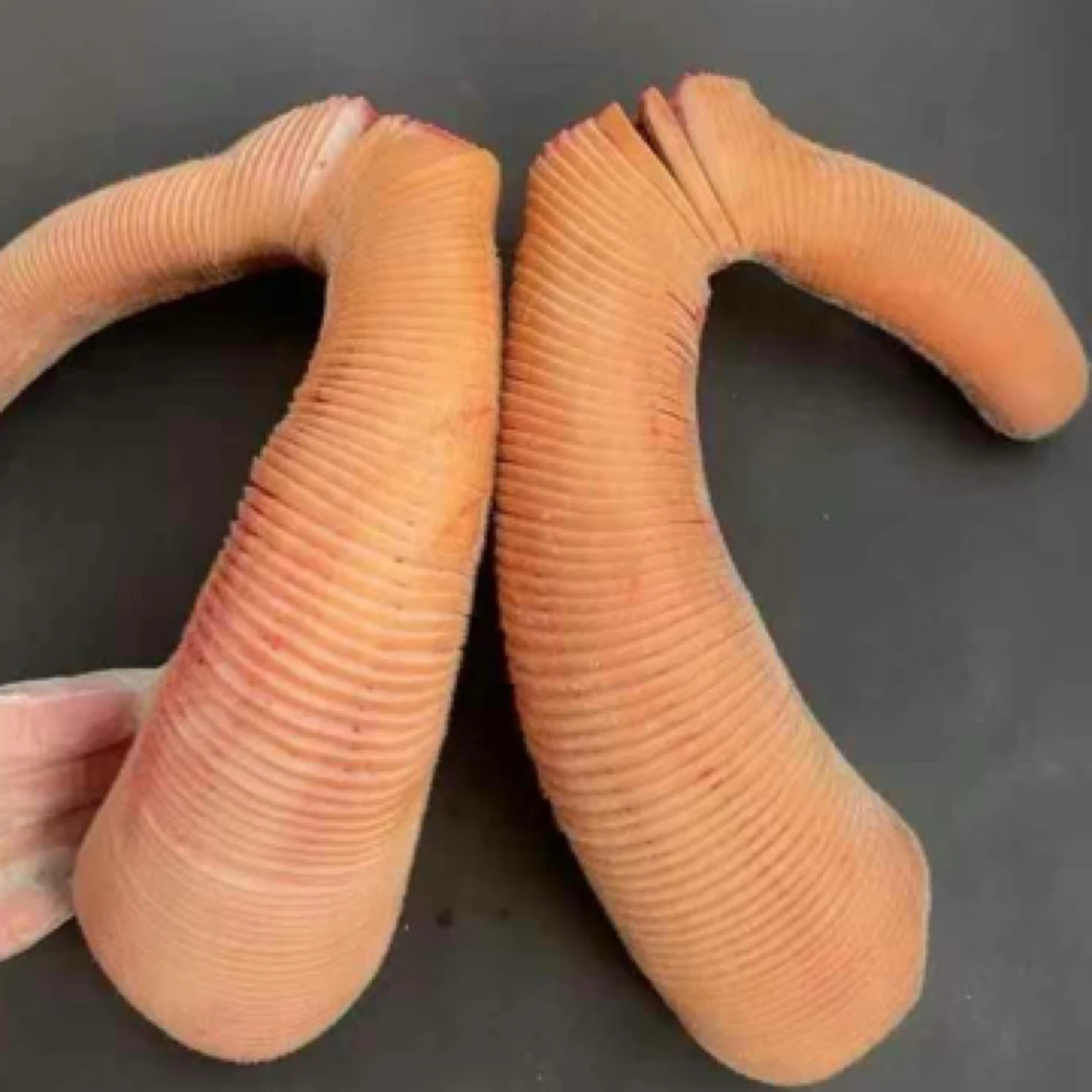 直播间改价链接 整支鹿茸双阳鹿乡产地直达 新鲜鹿茸 拍到请截图