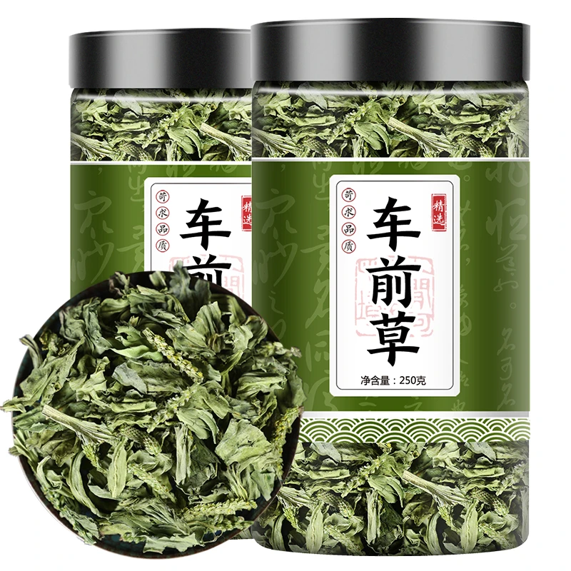 车前草中药材野生叶菜车前草泡茶新鲜干货整株无杂质袋车轮250g