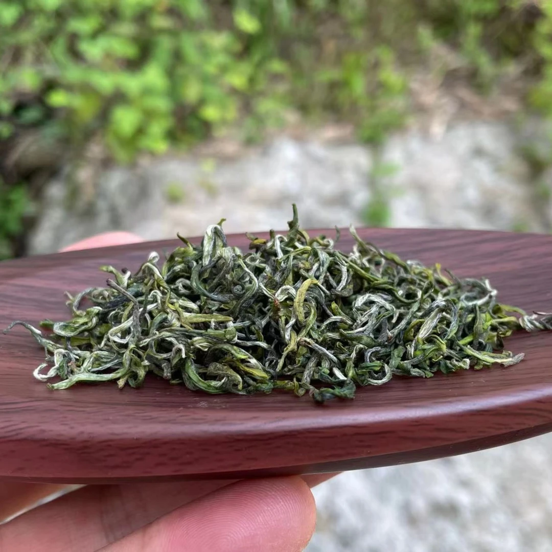 一亮2023云雾茶1号 传统工艺 高山绿茶 一芽一叶 黄山毛峰高山茶