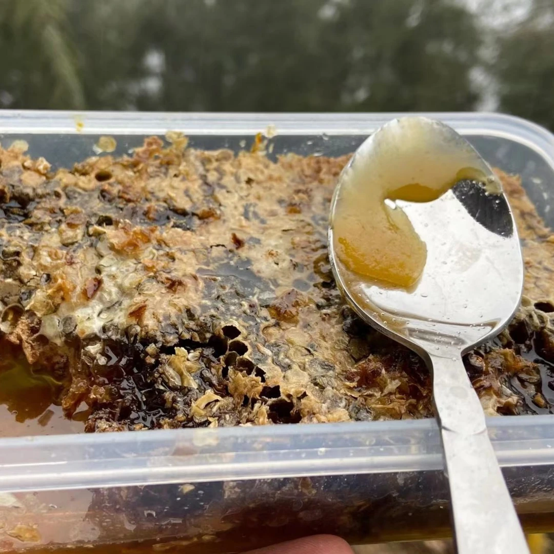 深山土蜂巢蜜 黄山百花蜜 可以直接吃的蜂巢