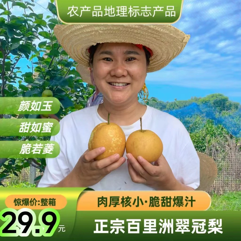 正宗百里洲砂梨脆嫩口感4.8斤8.4斤