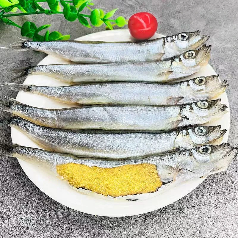 新鲜满籽多春鱼烧烤即食冷冻批发海鲜水产商用无冰顺丰8条/盒130g