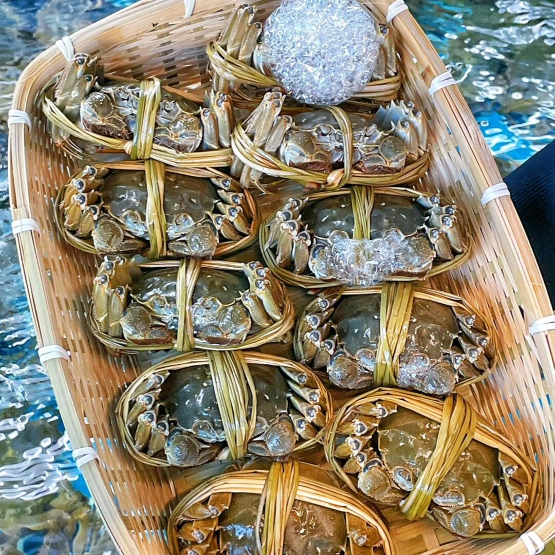 【福利蟹全母蟹6只送2到手8只】精品鲜活全母大闸蟹每只70g-85g