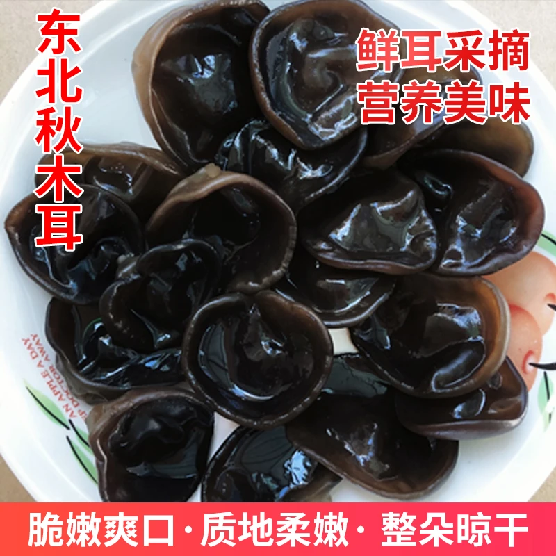 X【大妹精选】东北秋木耳2023年头茬新耳