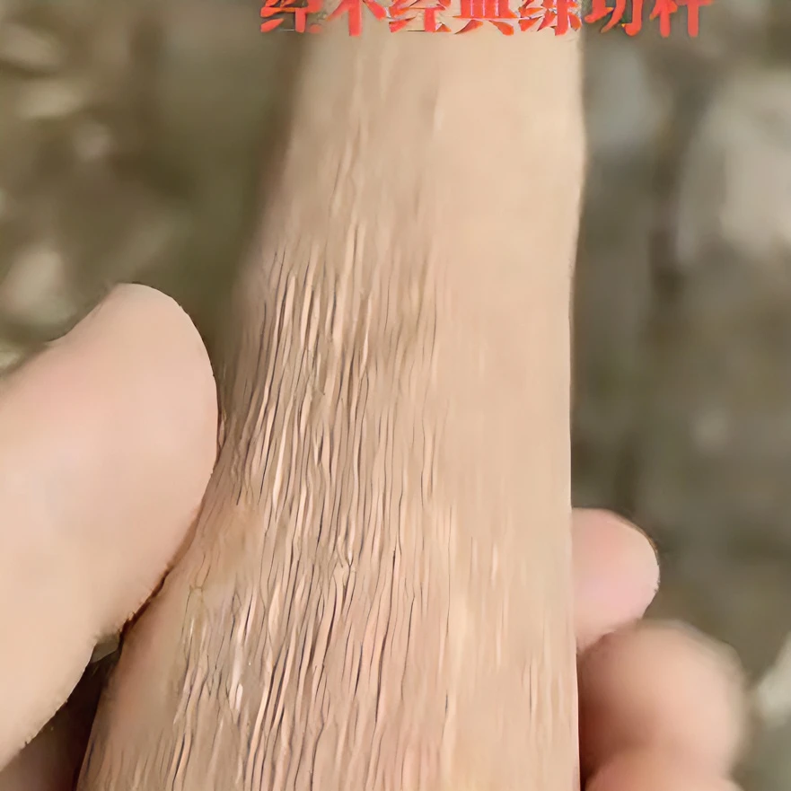 铁匠木原生棍练武登山手杖原木鞭杆齐眉棍大枪杆