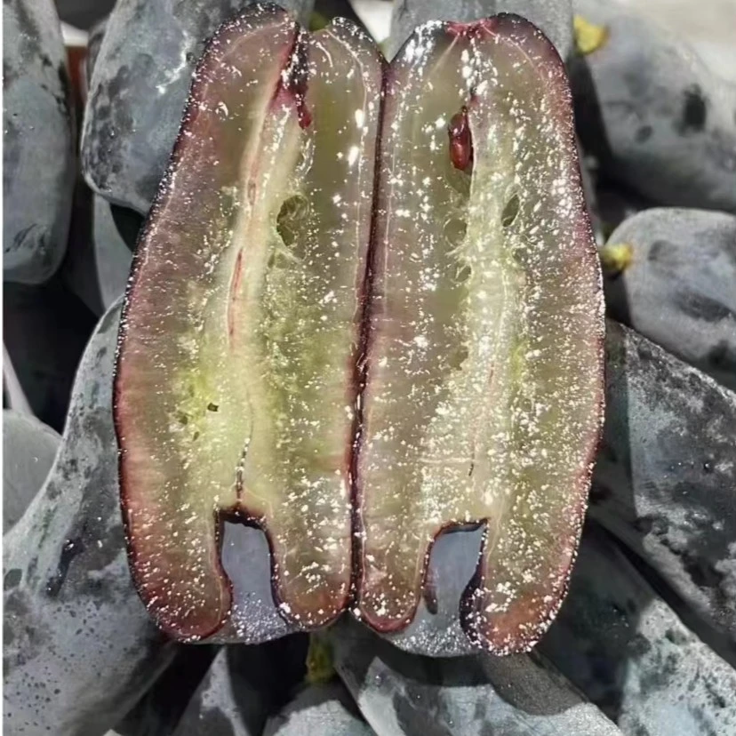 金手指黑提400g