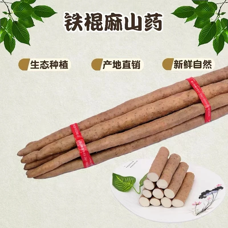 铁棍麻山药产地直发特色农产品口感软糯香甜面